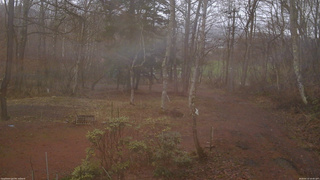 長野県菅平高原 ゆたか山荘 坂上 2026/04/10 16:00