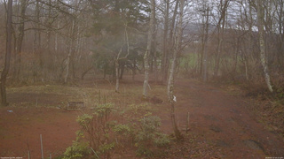 長野県菅平高原 ゆたか山荘 坂上 2026/04/10 16:15