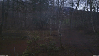 長野県菅平高原 ゆたか山荘 坂上 2026/04/10 17:15