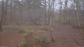 長野県菅平高原 ゆたか山荘 坂上 2026/04/10 17:30
