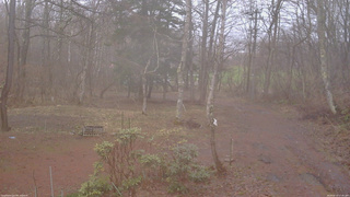 長野県菅平高原 ゆたか山荘 坂上 2026/04/10 17:45