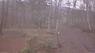 長野県菅平高原 ゆたか山荘 坂上 2026/04/10 18:15