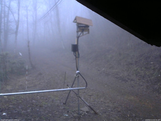 長野県菅平高原 ゆたか山荘 南側 2026/04/11 05:30