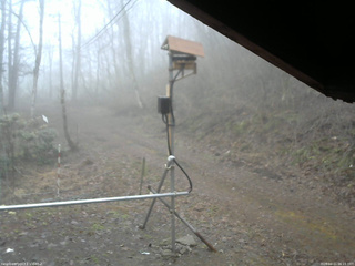 長野県菅平高原 ゆたか山荘 南側 2026/04/11 06:15