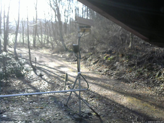 長野県菅平高原 ゆたか山荘 南側 2026/04/11 06:45