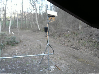 長野県菅平高原 ゆたか山荘 南側 2026/04/11 17:15