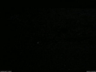 長野県菅平高原 ゆたか山荘 東側(坂下) 2026/04/11 05:00