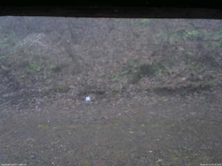 長野県菅平高原 ゆたか山荘 東側(坂下) 2026/04/11 05:30