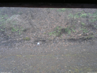 長野県菅平高原 ゆたか山荘 東側(坂下) 2026/04/11 05:45