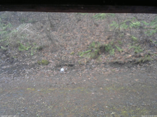 長野県菅平高原 ゆたか山荘 東側(坂下) 2026/04/11 06:00