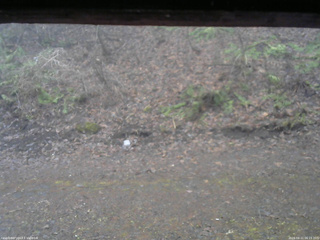 長野県菅平高原 ゆたか山荘 東側(坂下) 2026/04/11 06:15