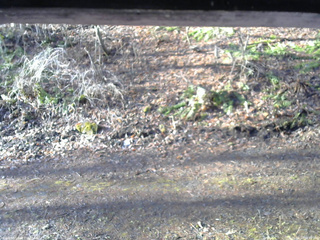 長野県菅平高原 ゆたか山荘 東側(坂下) 2026/04/11 06:45