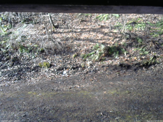 長野県菅平高原 ゆたか山荘 東側(坂下) 2026/04/11 07:00