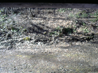 長野県菅平高原 ゆたか山荘 東側(坂下) 2026/04/11 07:30