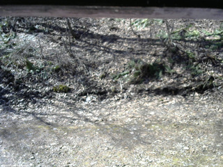 長野県菅平高原 ゆたか山荘 東側(坂下) 2026/04/11 08:30