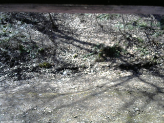 長野県菅平高原 ゆたか山荘 東側(坂下) 2026/04/11 09:15