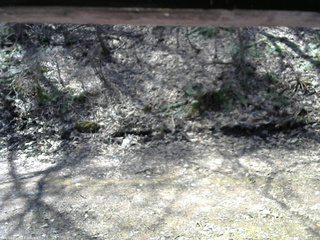 長野県菅平高原 ゆたか山荘 東側(坂下) 2026/04/11 10:15