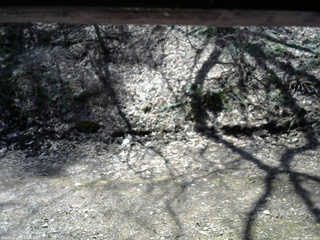 長野県菅平高原 ゆたか山荘 東側(坂下) 2026/04/11 10:45