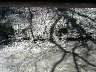 長野県菅平高原 ゆたか山荘 東側(坂下) 2026/04/11 11:00