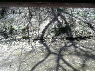 長野県菅平高原 ゆたか山荘 東側(坂下) 2026/04/11 11:15