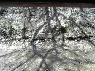 長野県菅平高原 ゆたか山荘 東側(坂下) 2026/04/11 11:30