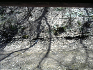 長野県菅平高原 ゆたか山荘 東側(坂下) 2026/04/11 12:15