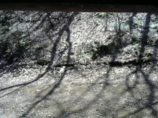 長野県菅平高原 ゆたか山荘 東側(坂下) 2026/04/11 12:30