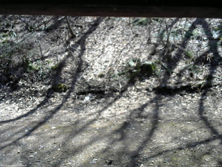 長野県菅平高原 ゆたか山荘 東側(坂下) 2026/04/11 12:45