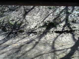 長野県菅平高原 ゆたか山荘 東側(坂下) 2026/04/11 13:00