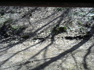 長野県菅平高原 ゆたか山荘 東側(坂下) 2026/04/11 13:30