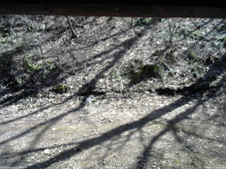 長野県菅平高原 ゆたか山荘 東側(坂下) 2026/04/11 13:45