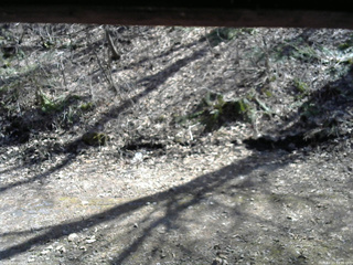 長野県菅平高原 ゆたか山荘 東側(坂下) 2026/04/11 14:00