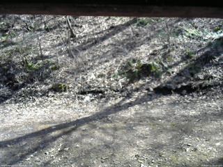 長野県菅平高原 ゆたか山荘 東側(坂下) 2026/04/11 14:15