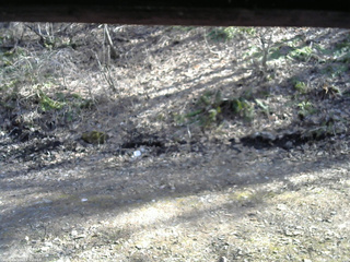 長野県菅平高原 ゆたか山荘 東側(坂下) 2026/04/11 15:15