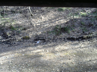 長野県菅平高原 ゆたか山荘 東側(坂下) 2026/04/11 15:30