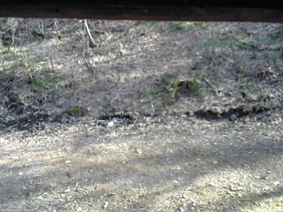 長野県菅平高原 ゆたか山荘 東側(坂下) 2026/04/11 15:45