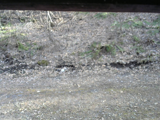 長野県菅平高原 ゆたか山荘 東側(坂下) 2026/04/11 16:15