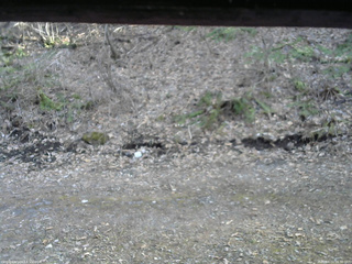 長野県菅平高原 ゆたか山荘 東側(坂下) 2026/04/11 16:30