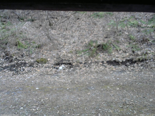 長野県菅平高原 ゆたか山荘 東側(坂下) 2026/04/11 17:00