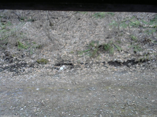 長野県菅平高原 ゆたか山荘 東側(坂下) 2026/04/11 17:15