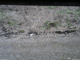 長野県菅平高原 ゆたか山荘 東側(坂下) 2026/04/11 18:00