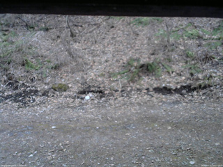 長野県菅平高原 ゆたか山荘 東側(坂下) 2026/04/11 18:15