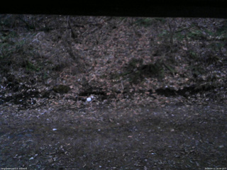 長野県菅平高原 ゆたか山荘 東側(坂下) 2026/04/11 18:30