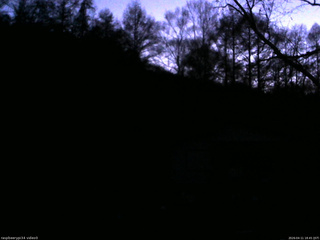 長野県菅平高原 ゆたか山荘 西側(坂上) 2026/04/11 18:45