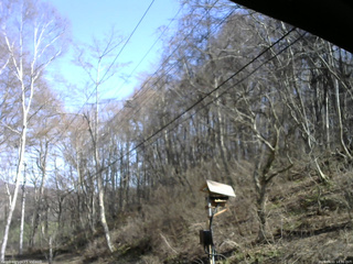 長野県菅平高原 ゆたか山荘 温度計 2026/04/11 14:30