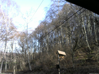 長野県菅平高原 ゆたか山荘 温度計 2026/04/11 16:30