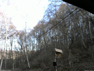 長野県菅平高原 ゆたか山荘 温度計 2026/04/11 17:00