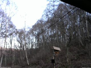 長野県菅平高原 ゆたか山荘 温度計 2026/04/11 17:30