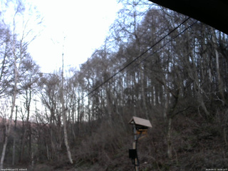 長野県菅平高原 ゆたか山荘 温度計 2026/04/11 18:00