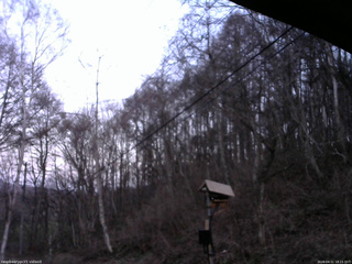 長野県菅平高原 ゆたか山荘 温度計 2026/04/11 18:15